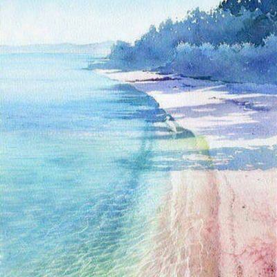 半导体育官方app截图