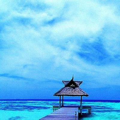 爱游戏ayx体育登录app下载