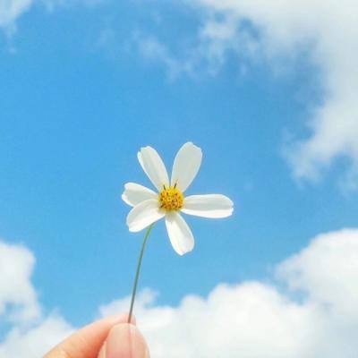 江南体育下载下载手机版