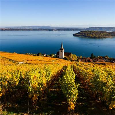 三亿体育下载手机版截图