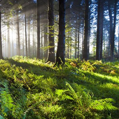 ayx爱游戏全站下载手机版