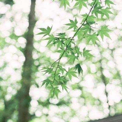 半导体育官方app