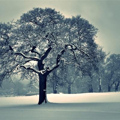 澳门·威斯尼斯wns888入口app下载