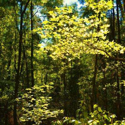 博冠体育App下载